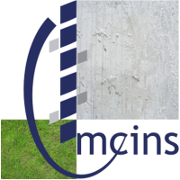 MEINS CONSULTING
